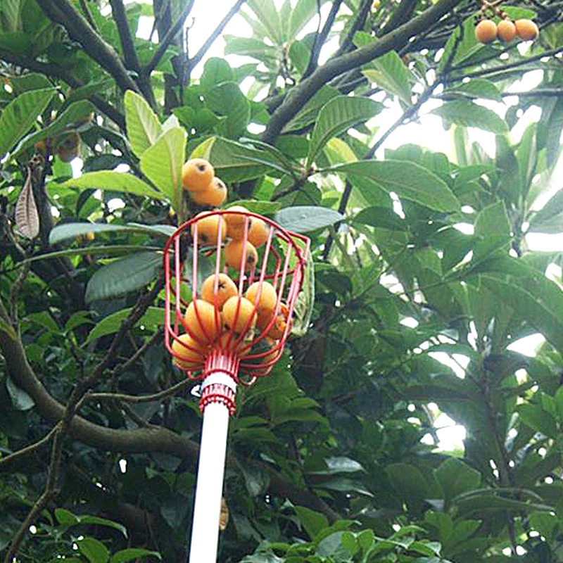 Deep Basket Fruit Picker Head Convenient Fruit Picker Catcher Apple