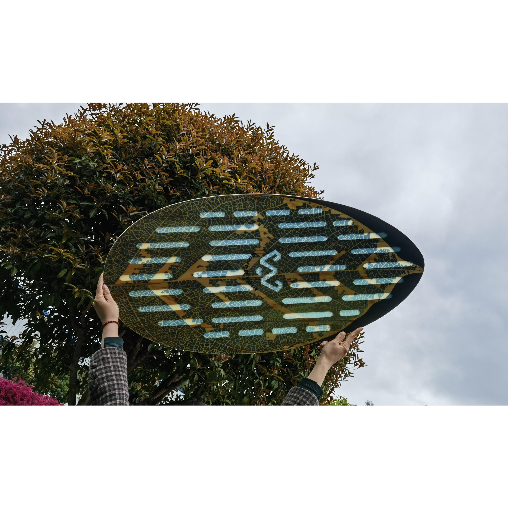 hollow skimboard sandy board surf skateboard wood maple skimboard