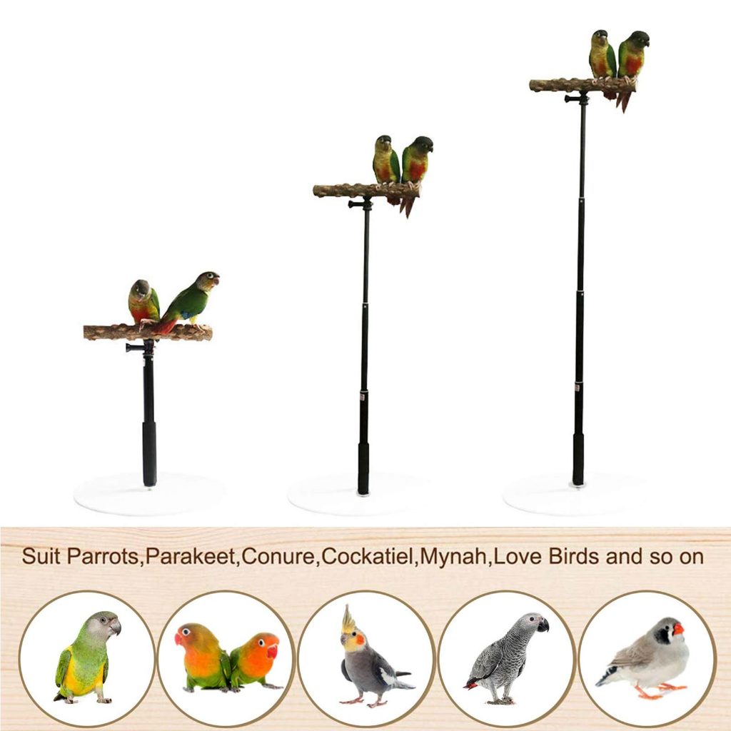 Bird Stand, Bird Cage Accessories