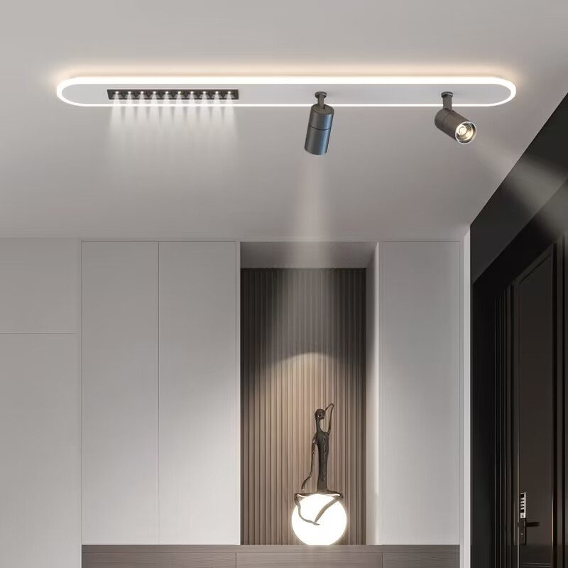 Modern LED Ceiling Lamp With Spotlight Lights For Living Room Bedroom