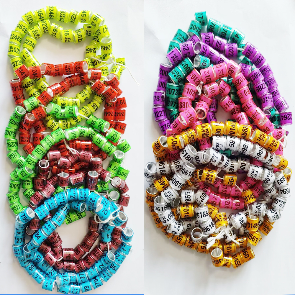 50 Pcs 2024 Pigeons Foot Ring 8mm Parrots Leg Rings Birds Training Tool