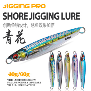 Jigging pro Hot Selling 3D Design Shore Jigging Lure 40g 60g 80g Fishing  Metal Jigs For Saltwater Fishing Lure Fishing Gear