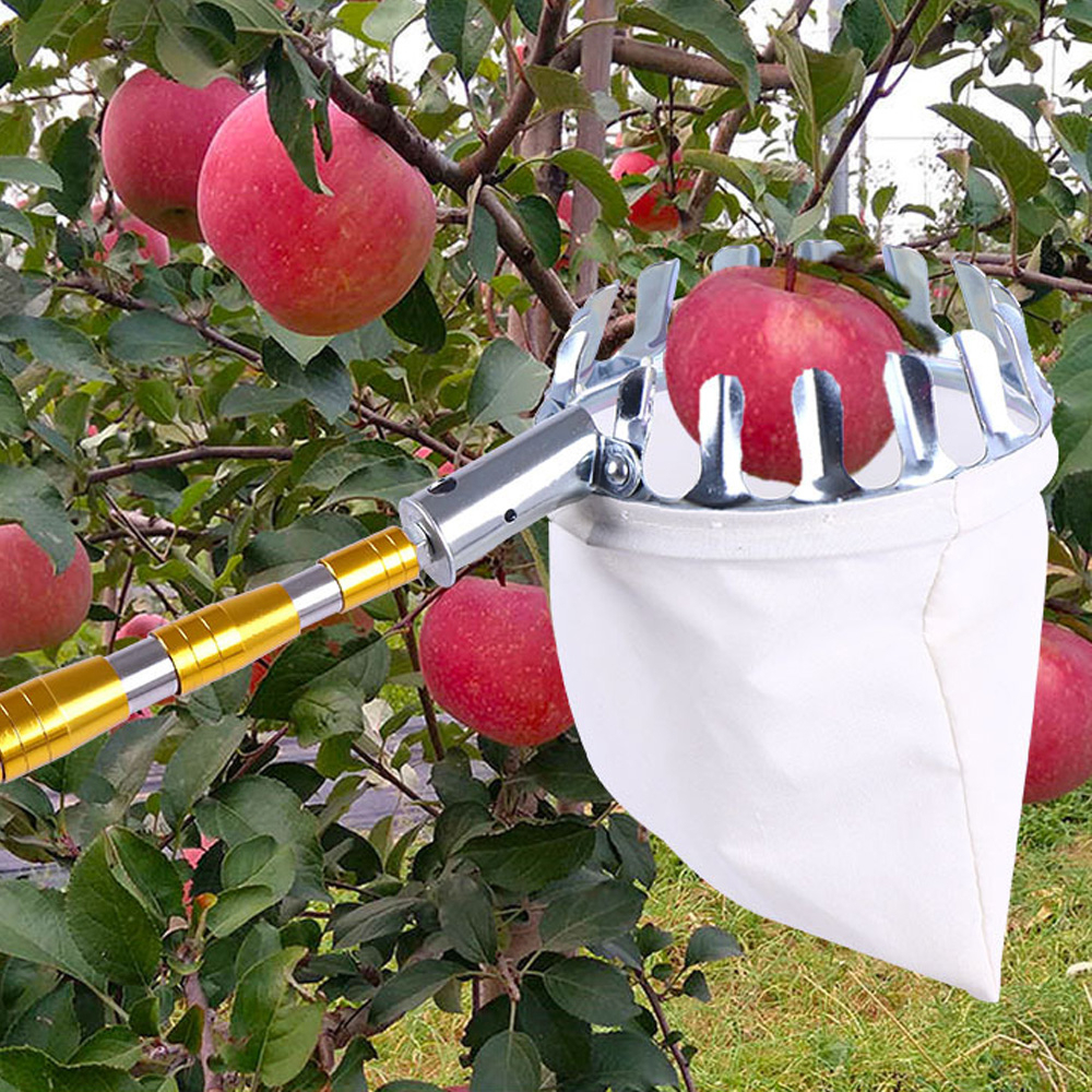 Garden Basket Fruit Picker Head MultiColor Plastic Fruit Picking Tool