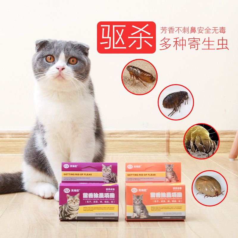 10 Homemade Remedies for Fleas & Ticks That Actually Work - Cat Flea Removal Without Using Insecticidal Soap