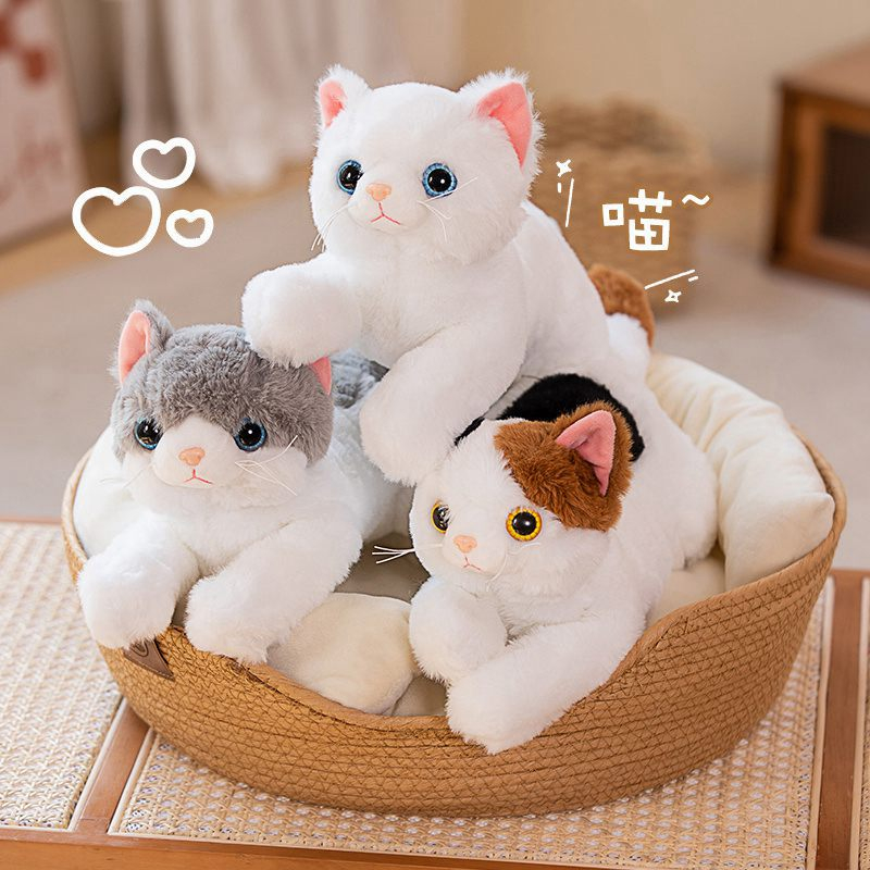 Cute cat soft toy sales