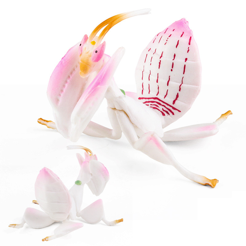 Insect Orchid Mantis Simulation Model Children Science Education Toys