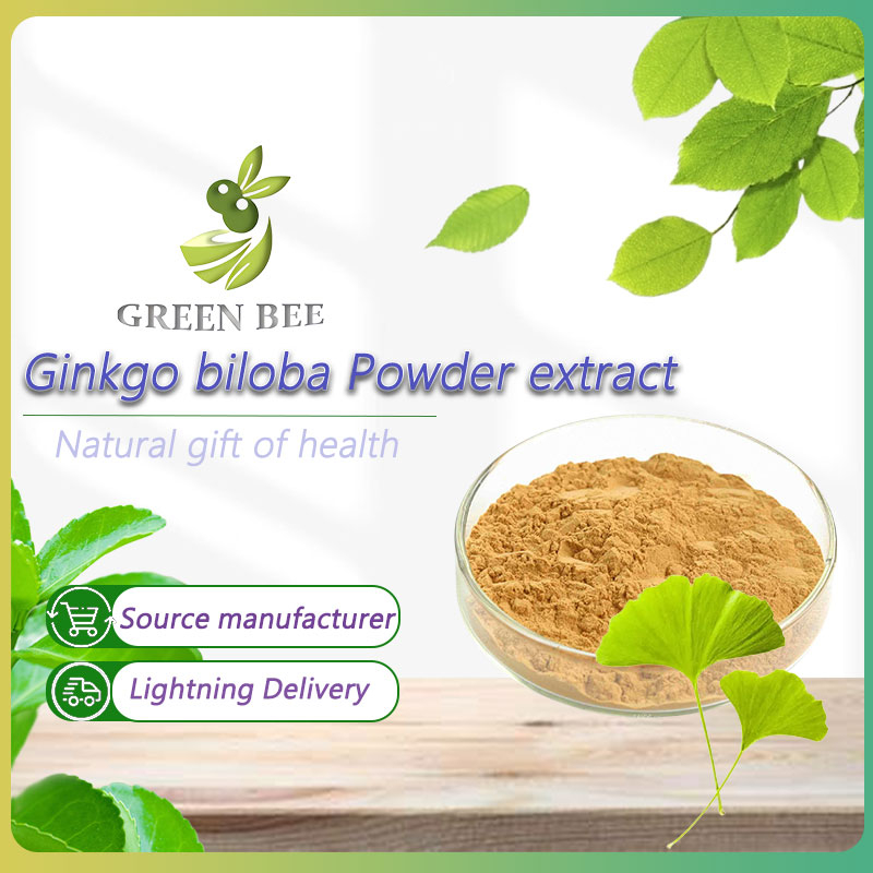 Ginkgo biloba Powder extract/Immune System/Improve cerebrovascular