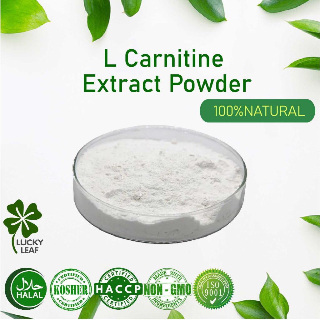 l carnitine powder in malaysia 99% L Carnitine Powder/左旋肉碱/Promotes Lipolysis