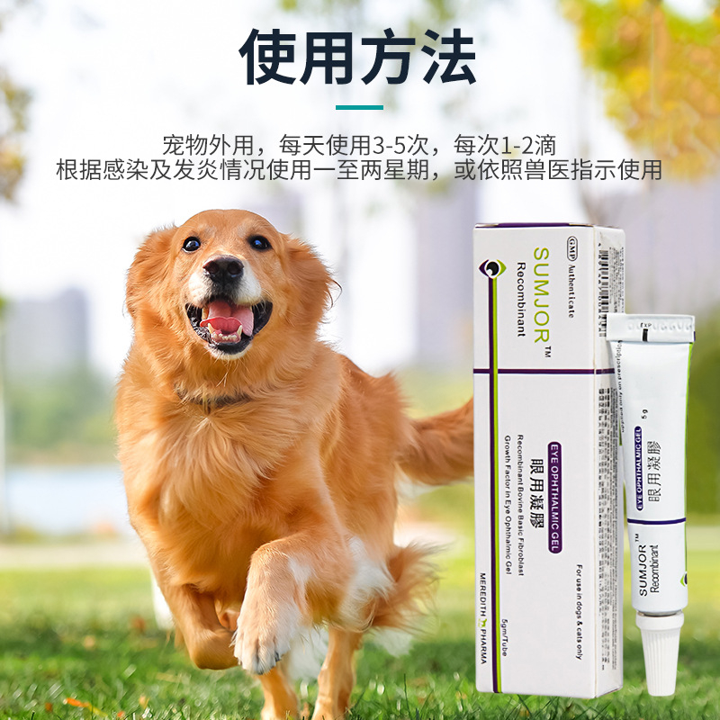 Opticin Potassium Eye Ointment Gel Antibiotic Dog Eye Care Cats Eyelid 