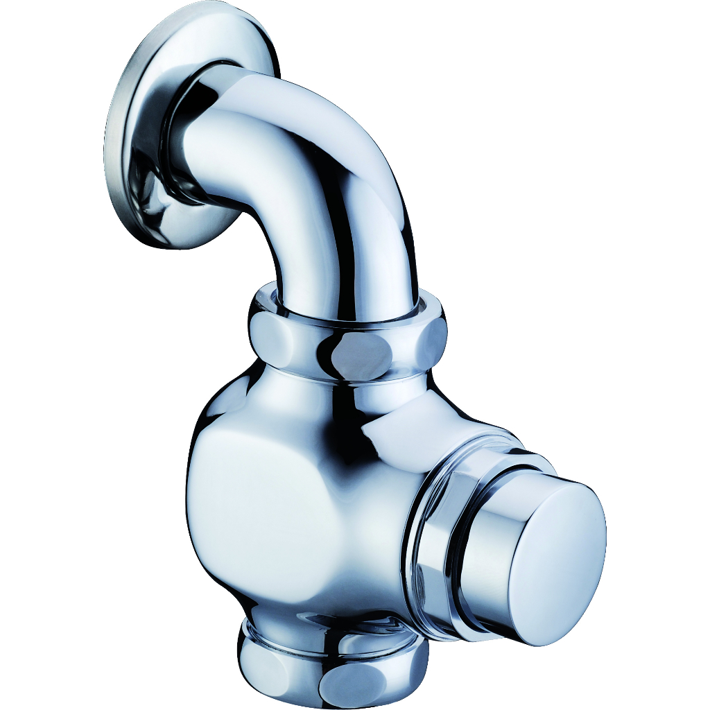 Wall mounted flush valve with 1" inlet and outlet time delay flush