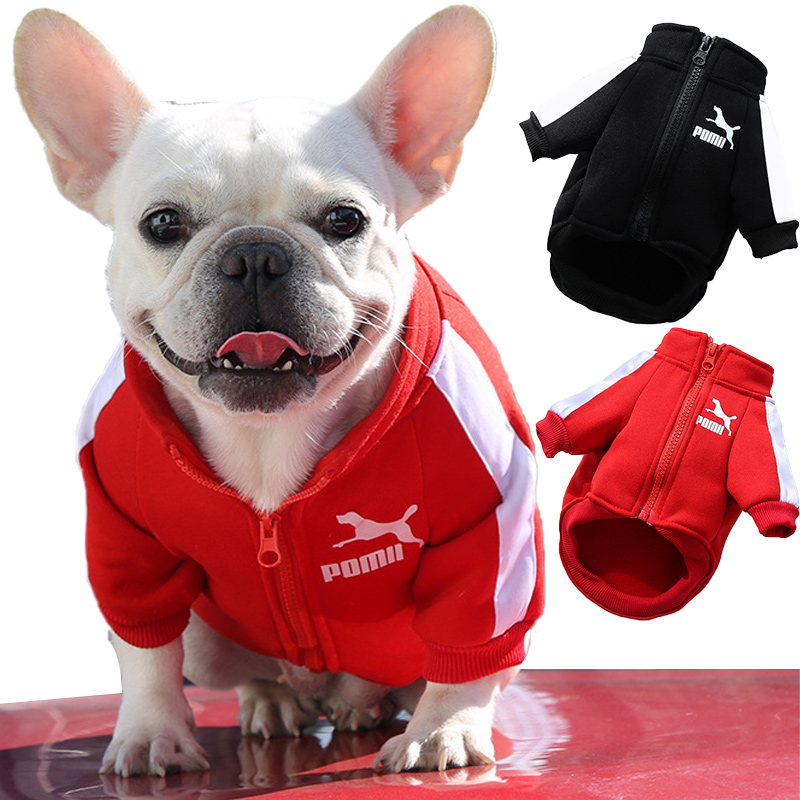 Puma dog outlet outfit