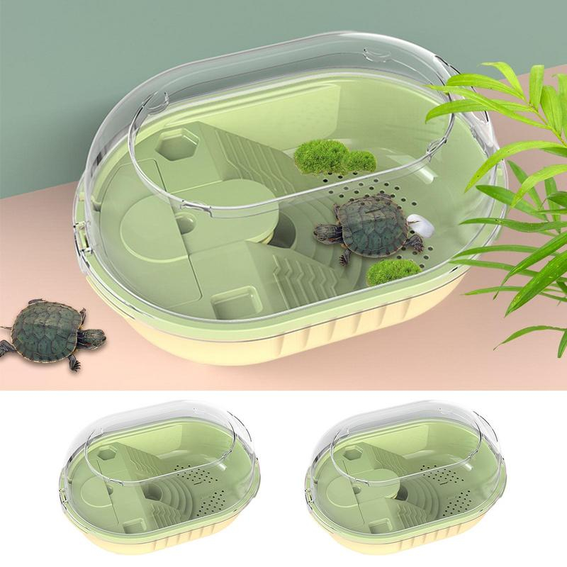 Ecological natural sea turtle tank reptile habitat, climbing sunbathing ...