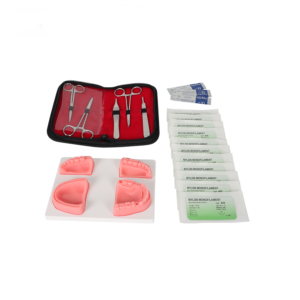 Dental Suture Practice Kit With Dental Suture Training Models For