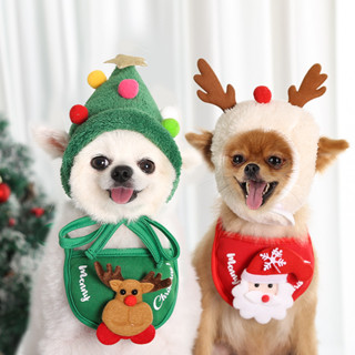 Puppies in clearance christmas outfits