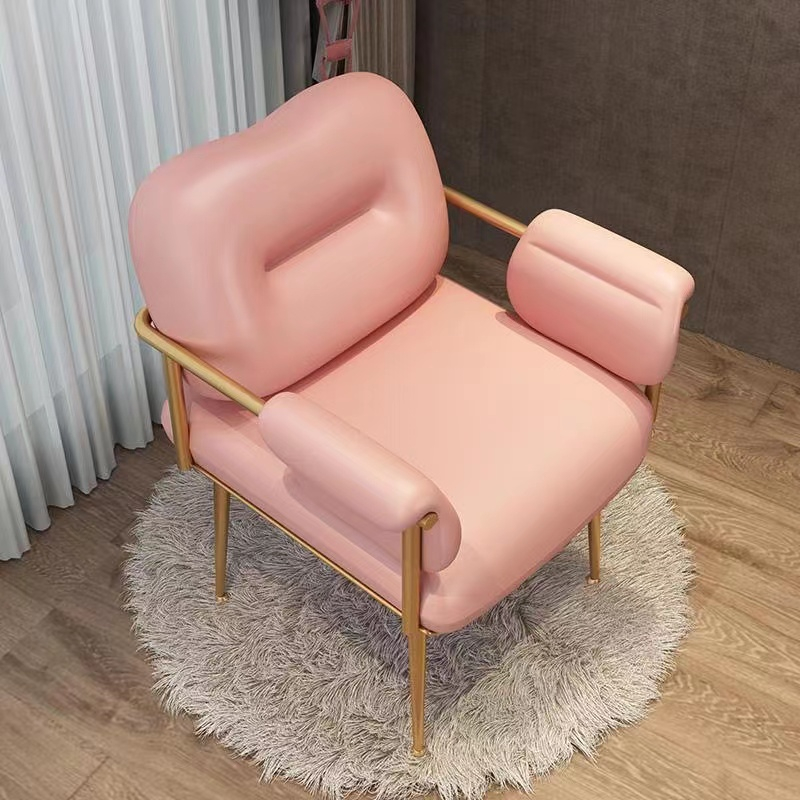 Influencer Chair Makeup Chair Desk Chair Nordic ins Light Luxury Dining ...
