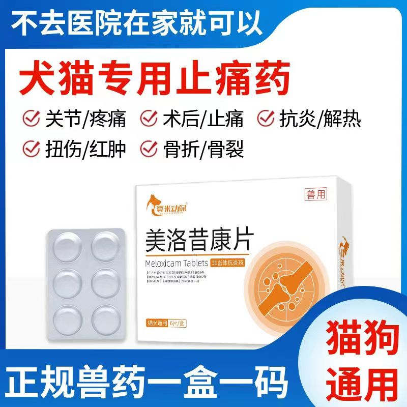 Cat Pain Relief Medicine Dog Arthritis Dogs Cats Dedicated