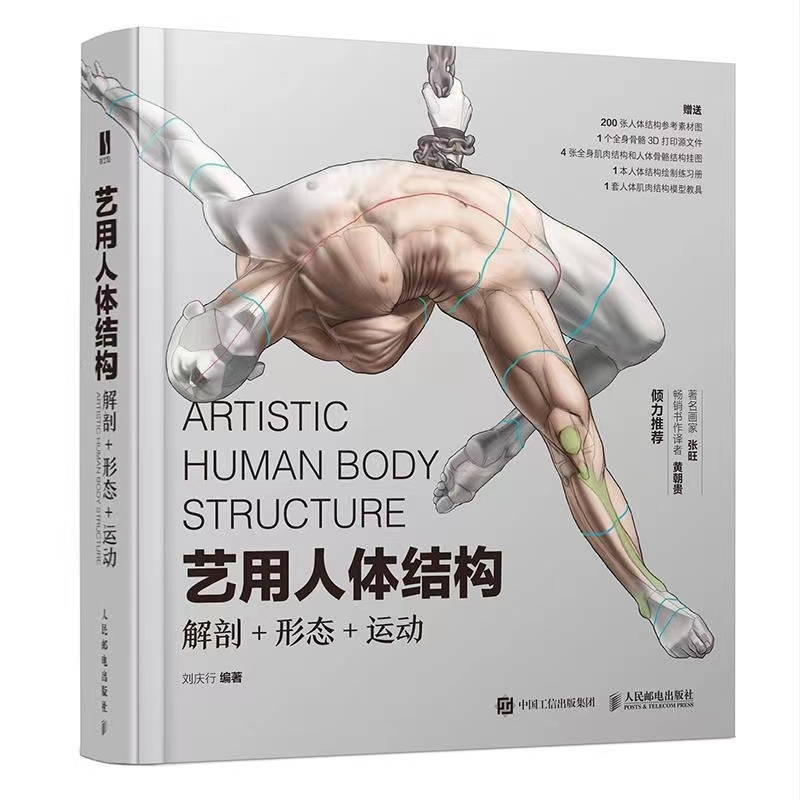Artistic Human Body Structure Anatomy Form Exercise Dynamic Anatomy