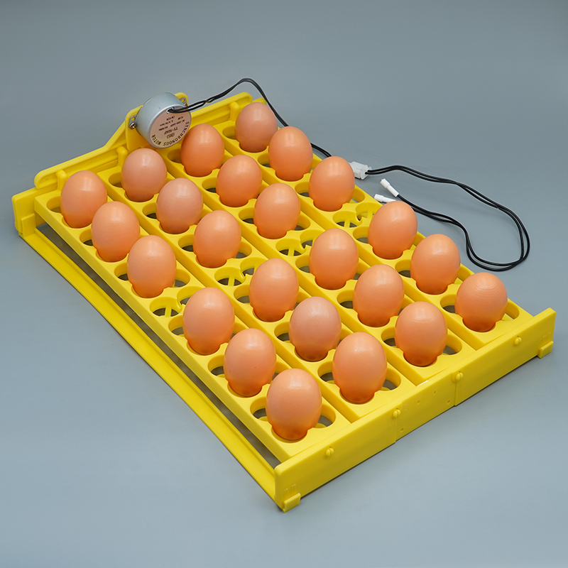 24 Eggs Incubator Turn Tray Chickens Ducks Poultry Automatically