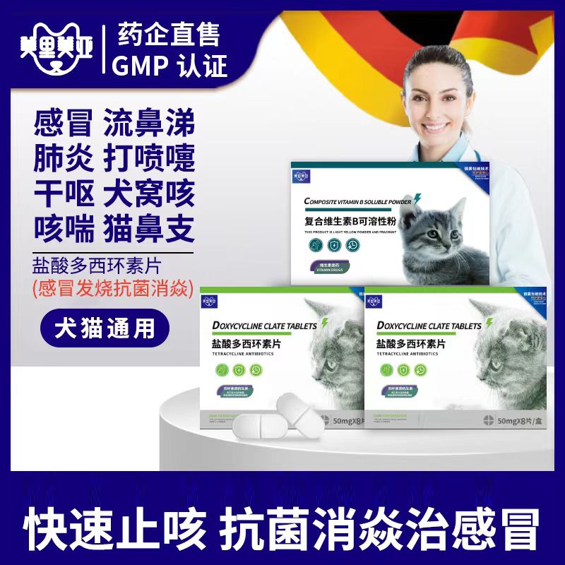 Dog Cold Medicine Cat Coughing Sneezing Dry Vomiting Dog Nest Coughing