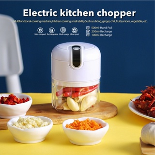 Green Moon 2L Multifunction Electric Kitchen Chopper Shredder Food