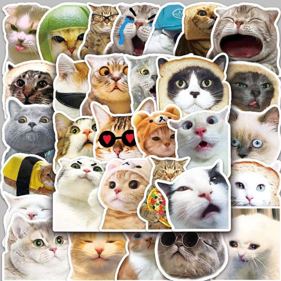 50 Piece Funny Cat Diy Cartoon Graffiti Waterproof Stickers For Diy
