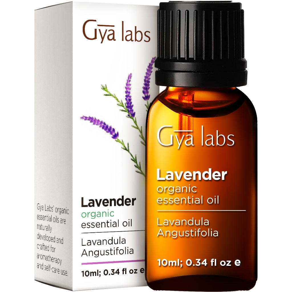 Gya Labs Organic Lavender Essential Oil for Diffuser & Skin - Organic  Lavender Oil for Aromatherapy & Feelings Of Relaxation - Lavender Oil  Organic for Hair - 100% Pure (10ml)