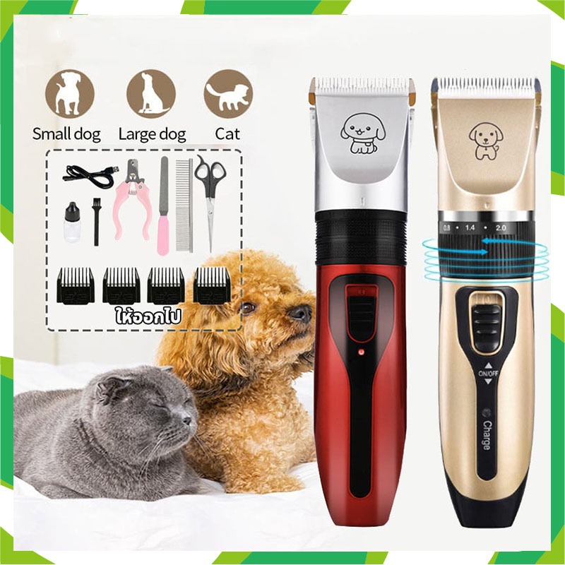 Razor best sale for cats