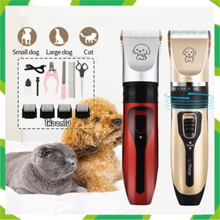 Shaver dog best sale