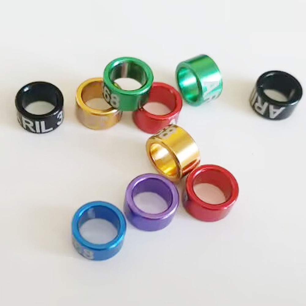 20 PCS 10mm Big Pigeon Ring Foot Ring Y2025+Number 10/8mm Birds ...