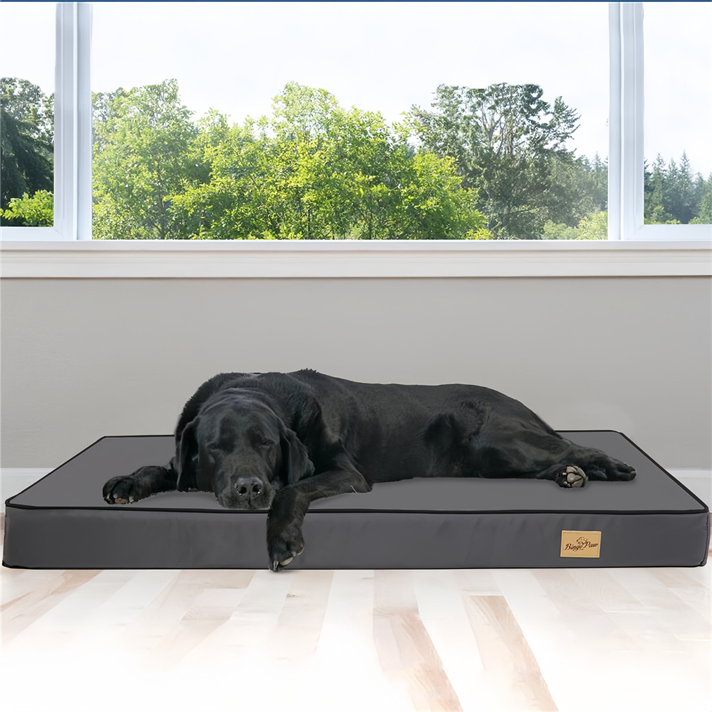 Bingopaw Jumbo Orthopedic Dog Bed Memory Foam Pet Bed Mattress Waterproof Liner Pet Mat Shopee