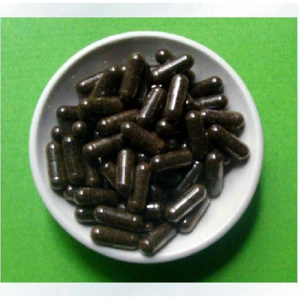 500mg 200 Capsules Black Ant 20 1 Extract Capsules Shopee Malaysia   Cn 11134207 7r98o Logkbq0ucb4q0c