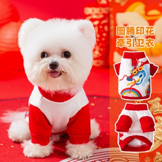 Chinese New Year Cat Costume,Pet Clothes New Year Clothes Cloak with Wsih  Bag for Cats Small Dogs (Gold)