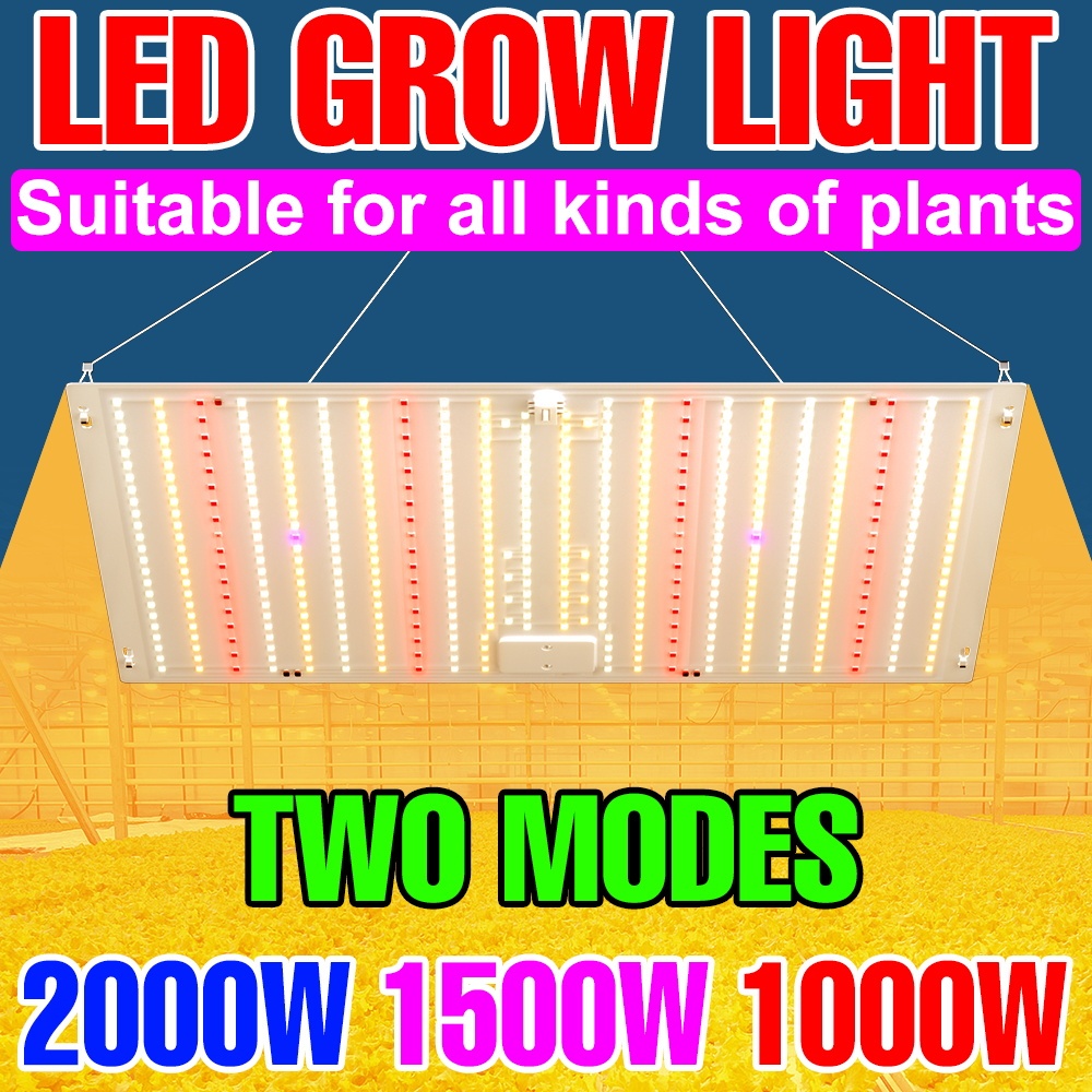 2000W LED Full Spectrum Grow Light Sunlight Green Plant Lamp AC100-277V ...