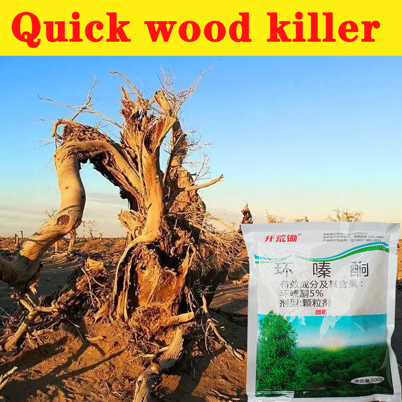 Effective weed control Removing big trees and bamboo Kill tree and