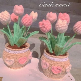 Knitting Succulent Plants, Beginner Crochet Knitting Kit, Suitable For  Beginners And Adults, Crochet Knitting Kit 