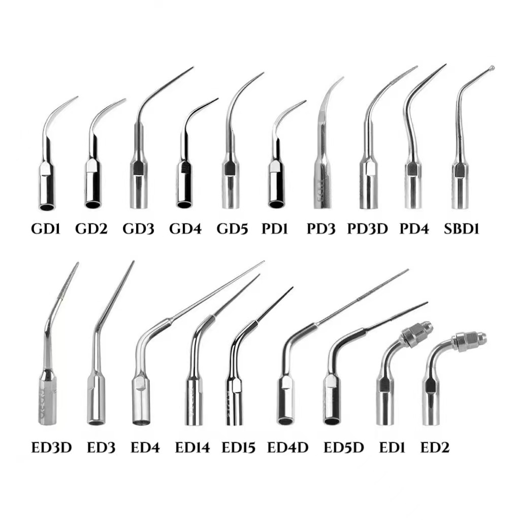 Dental Ultrasonic Scaler Scaling Endo Perio Tip For EMS Woodpecker ...