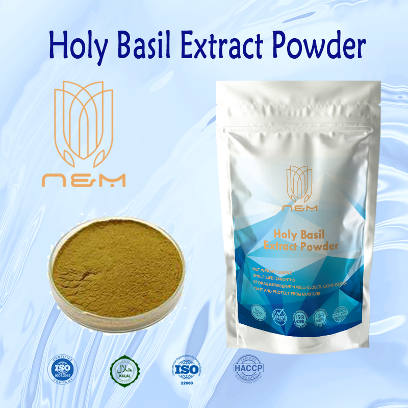 Holy Basil Extract Promote the brain function Relieve stress and