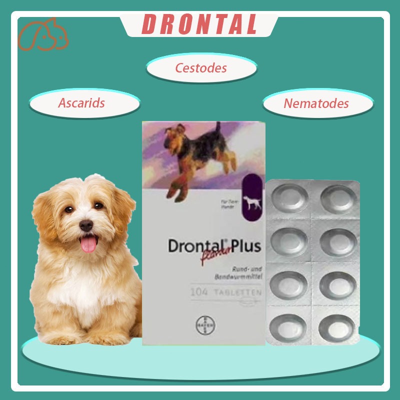 Drontal Plus Dog Deworm/Ubat Cacing Untuk Anjing 1 Box/1 Tablets