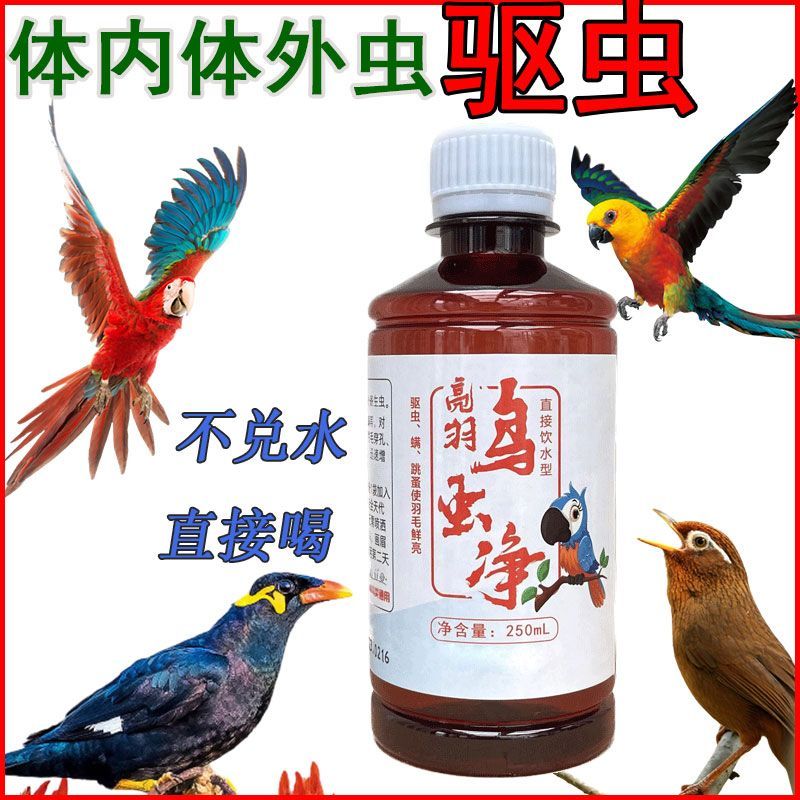Little Bird Body Insect Repellent Inside Outside Drawing Eyebrow Parrot ...