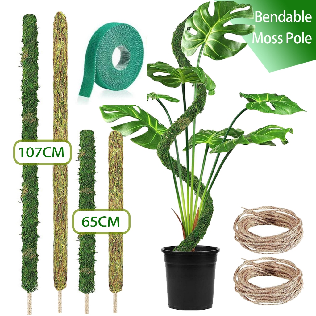 2 PCS Bendable Moss Pole Coir Stick Moss Pole for Plants Monstera