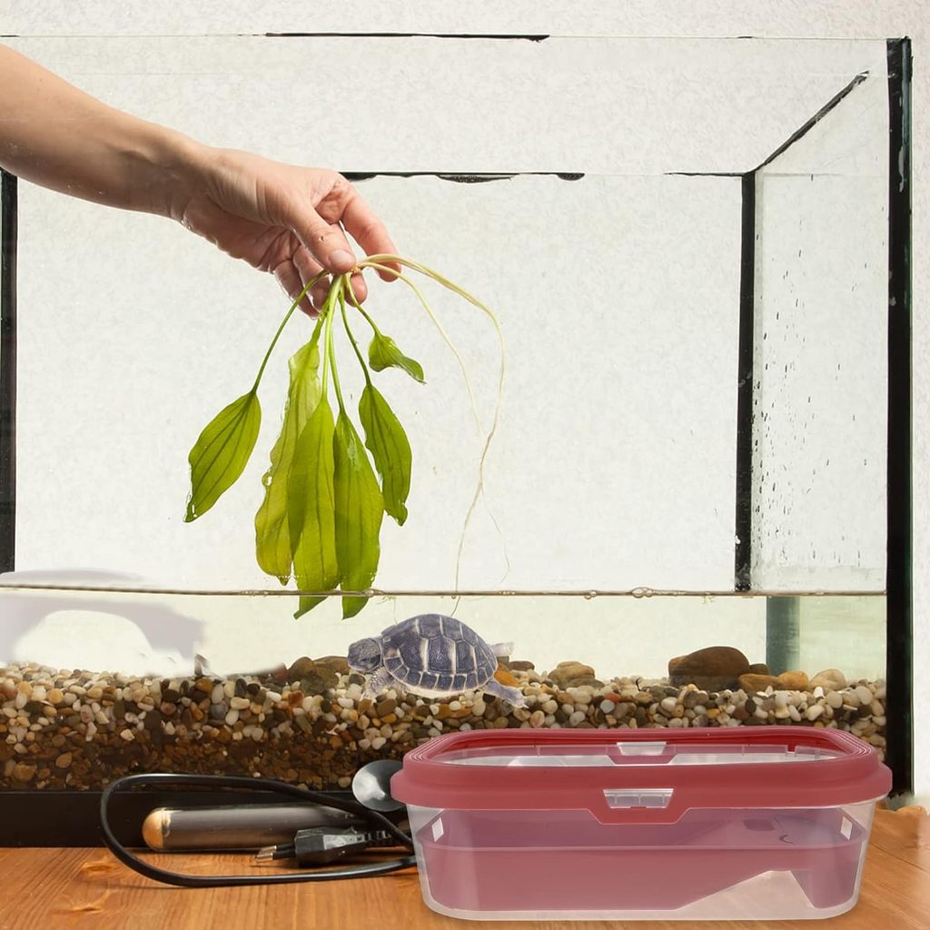 Kotak Binatang Reptilia Kotak Binatang Turtle Terrarium Small Container