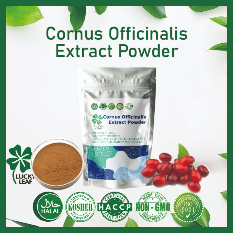 Cornus Officinalis Extract Powder /Japanese Cornelian Cherry / Anti