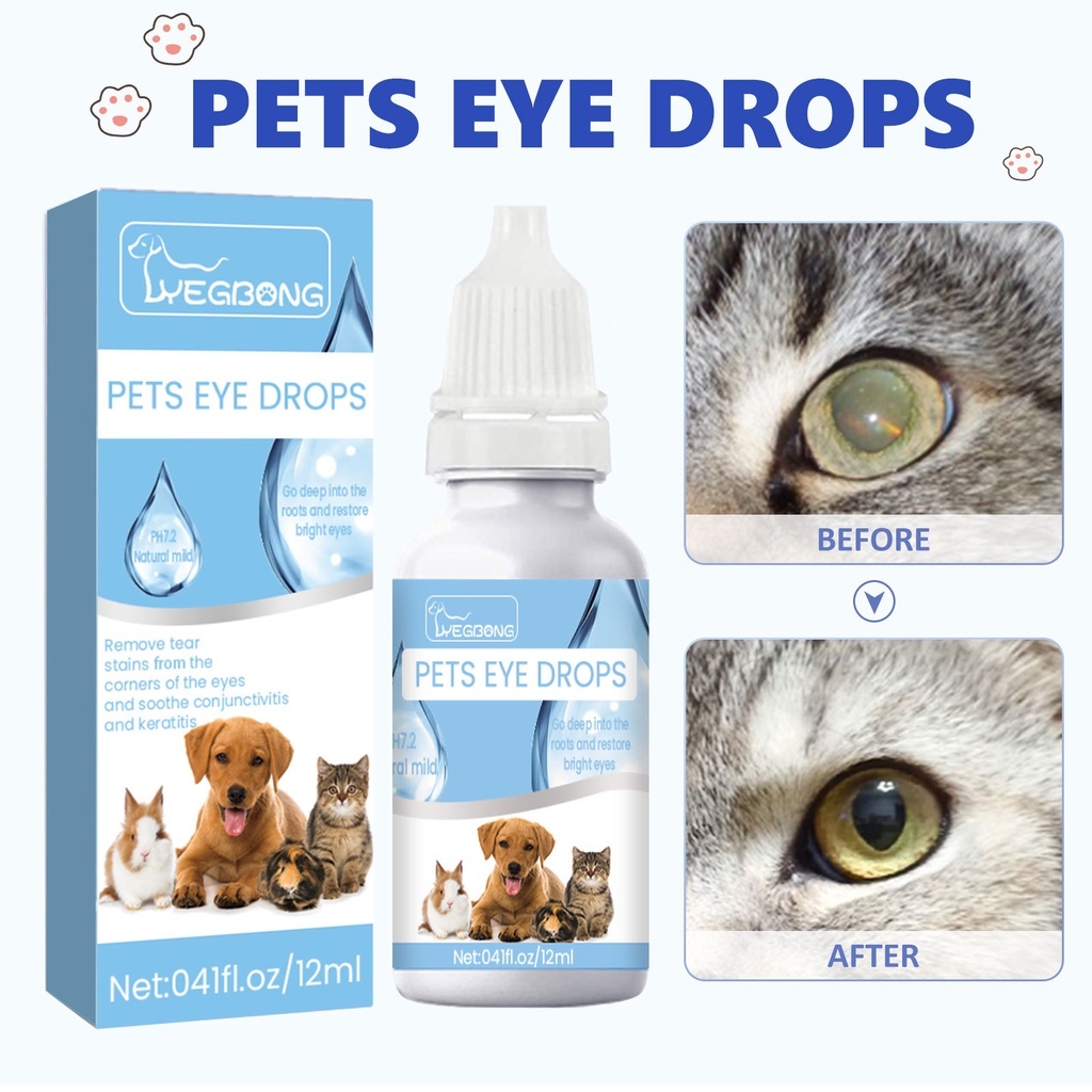 Cataract Drops For Dogs Reviews Cataract Eye Drops For Dogs