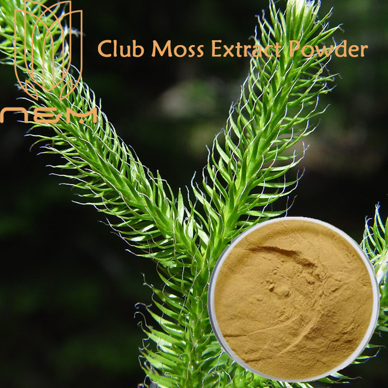 N&M/ Club Moss Extract Powder/ Lycopodium/ Antiinflammatory, Supports