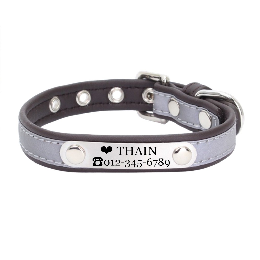 Reflective Dog Collar Personalized
