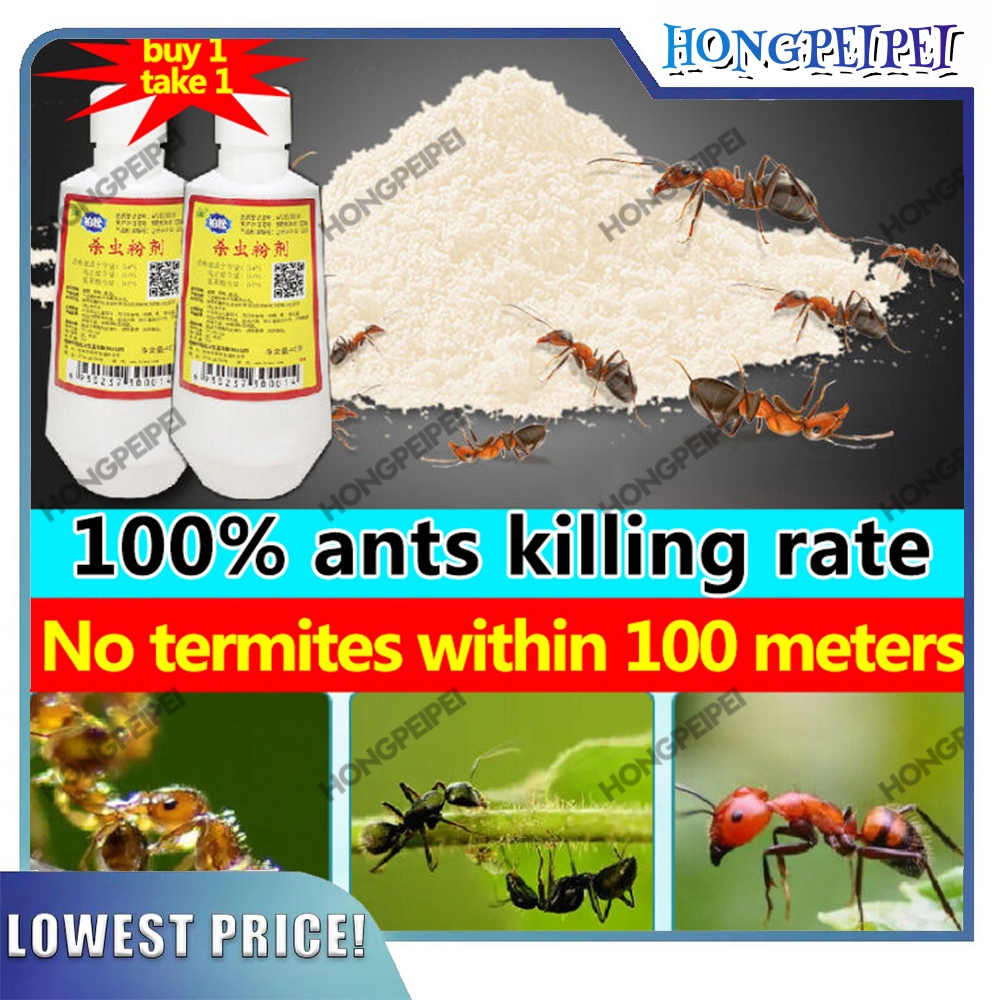 Buy 1 Take 1no Termite for 10 years Termites killer 80g Infect death ...