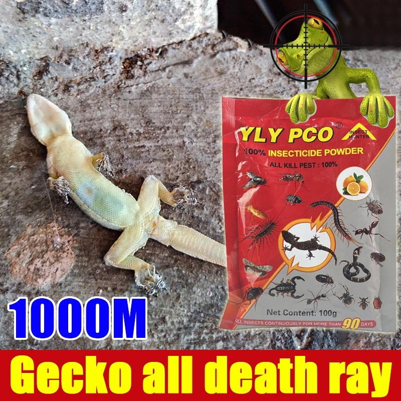 Insecticide Powder Anti-insecticide Cockroach Iizard Gecko Drug Ant ...