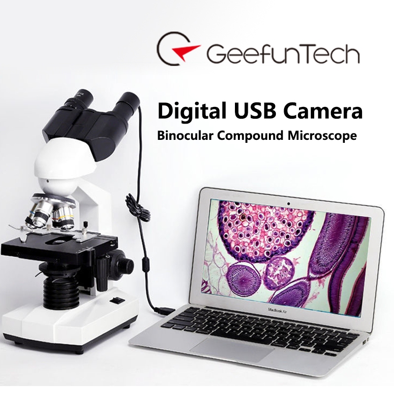 Professional Microscope 40X-2500X LED Digital Binocular Compound ...