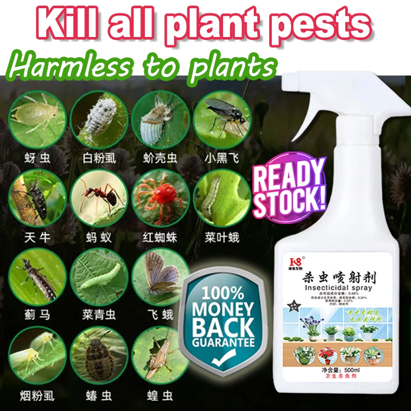 Eliminate 200 plant pests Insecticide for plants 500ml Racun serangga ...