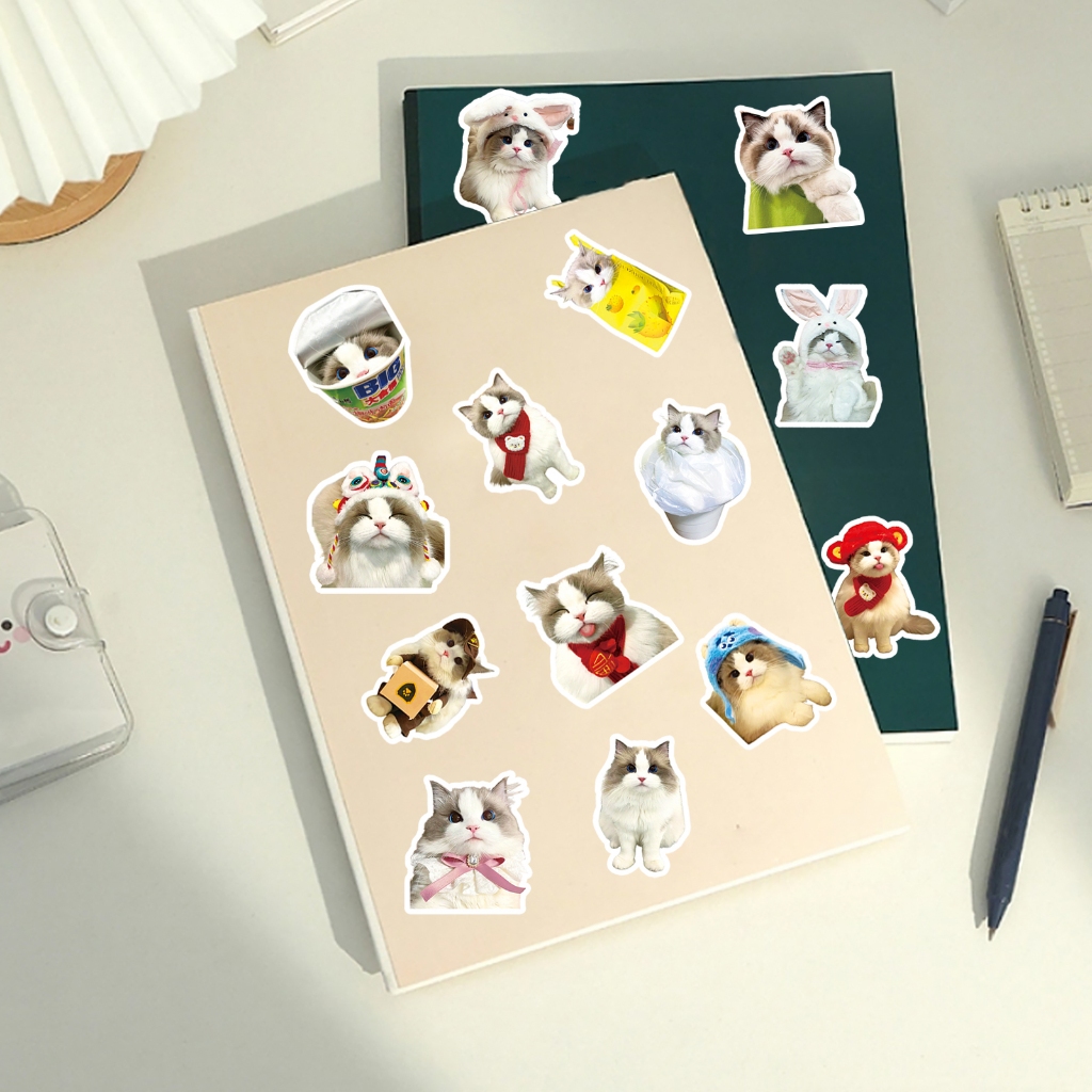 Hot Creative Super Cute 50pcs Ragdoll Cat meme Stickers DIY For Phones ...